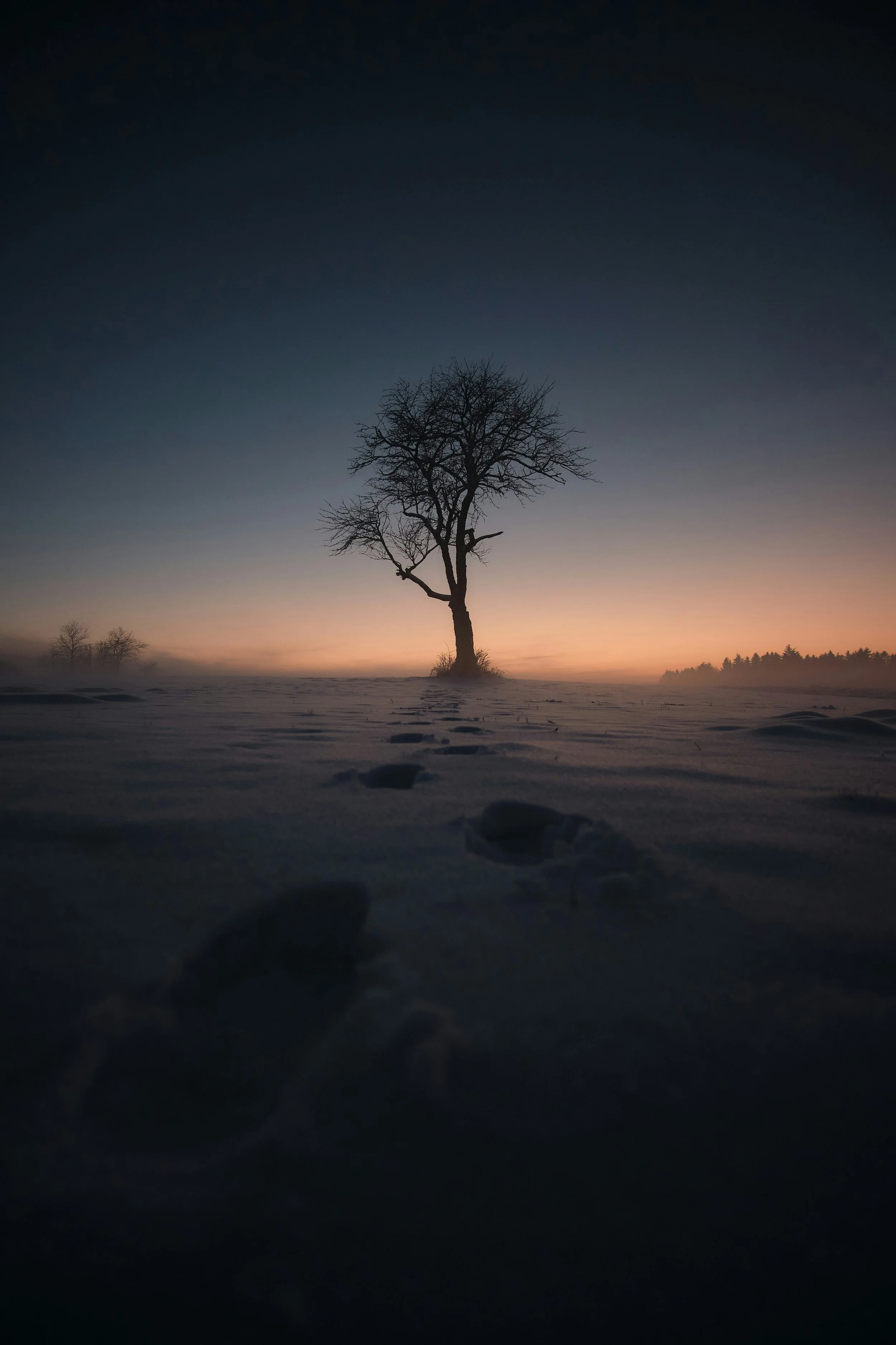 The Beginning of the Beginning 