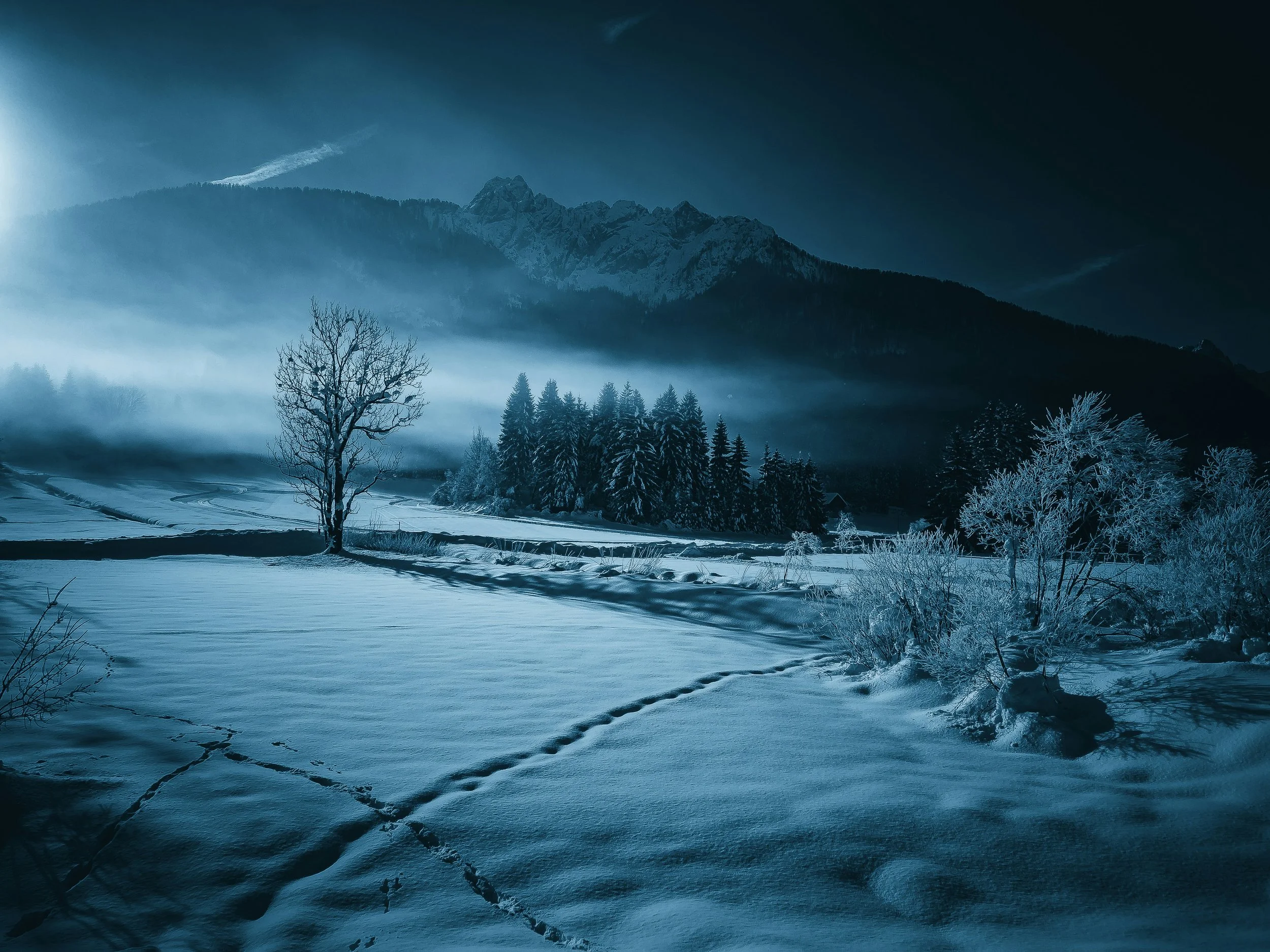 Riding a Horse in Moonlight and Snow