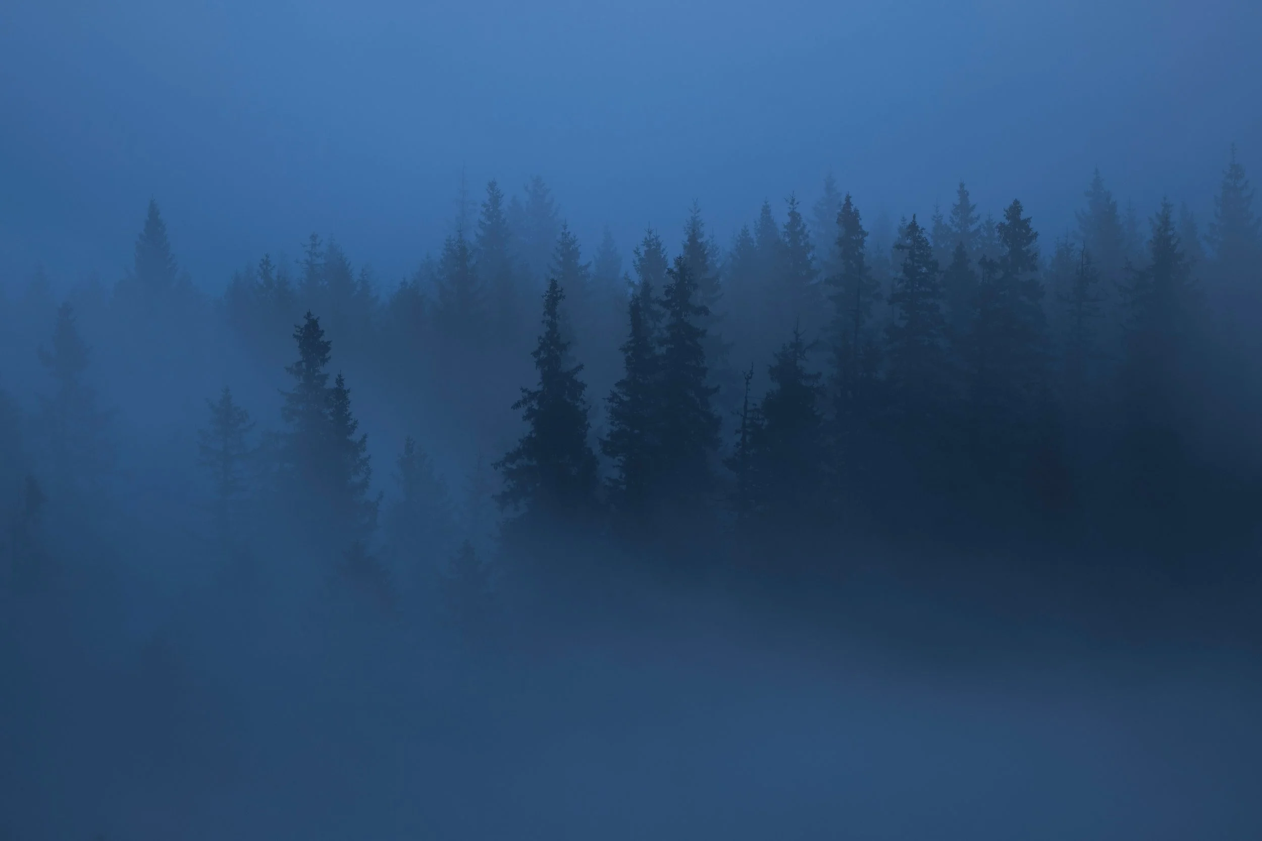 Listening to the Winter