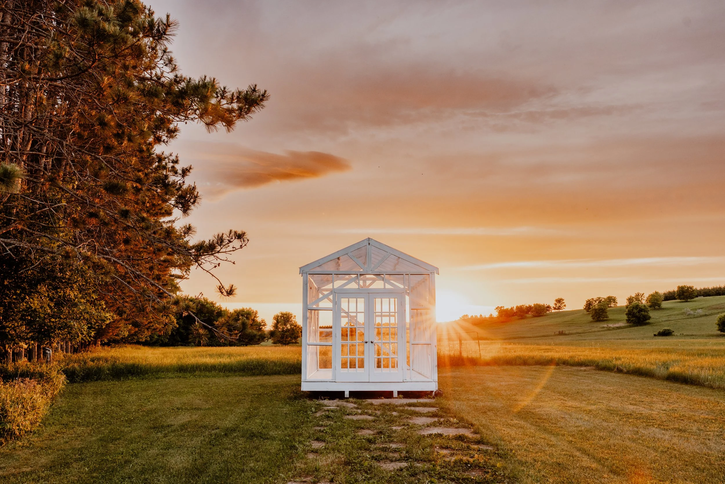Wedding greenhouse for stunning photos