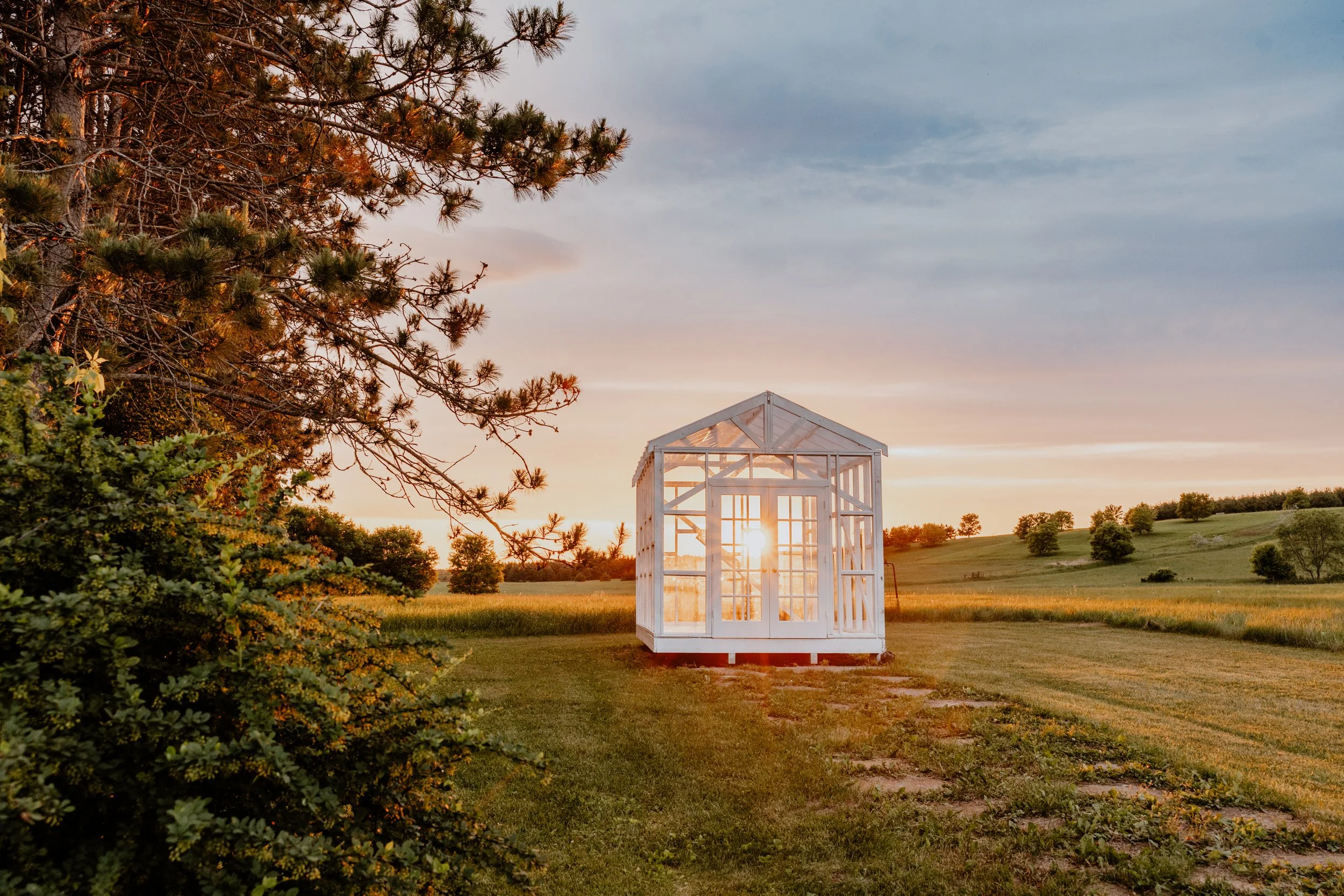 A small greenhouse with a transparent roof and walls standing on a grassy field at sunset, with trees in the background and a cloudy sky.