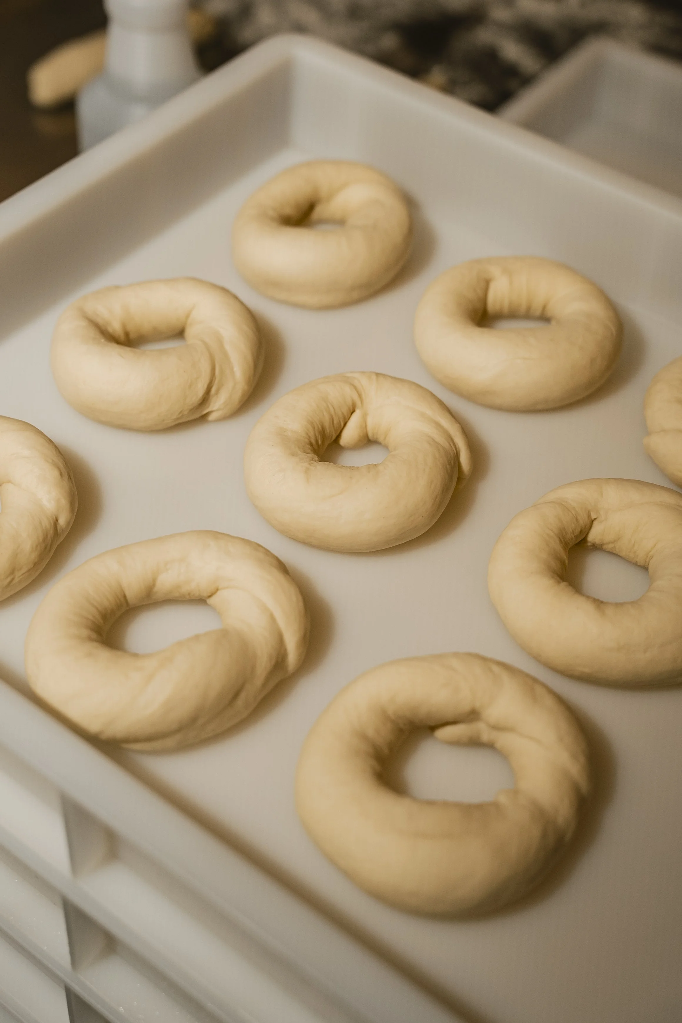 Say Cheese Social & Frankly Bagels-51.jpg