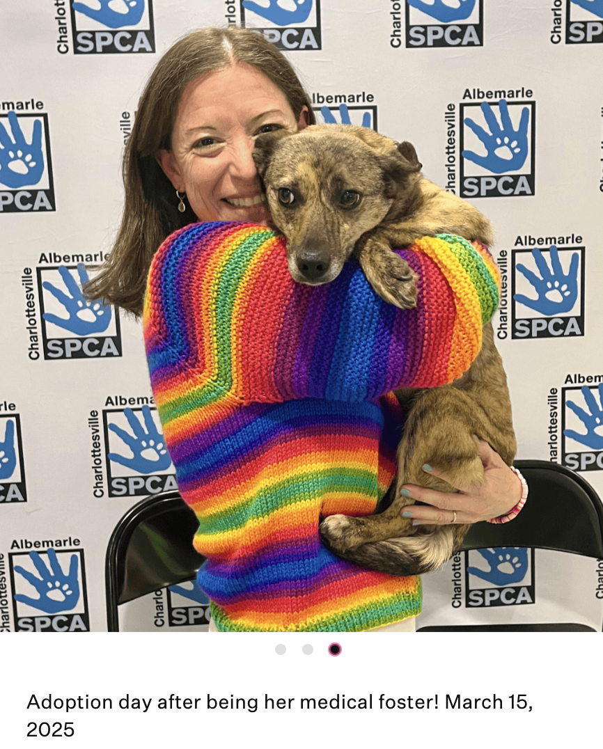 Screenshot 2025-09-23 at 3.24.11 PM.png