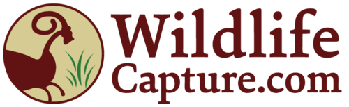 Wildlife Capture