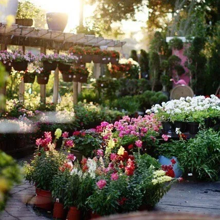 Palmer’s Garden &amp; Goods