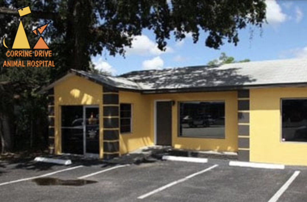 Corrine Drive Animal Hospital