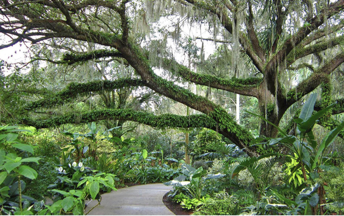Harry P. Leu Gardens