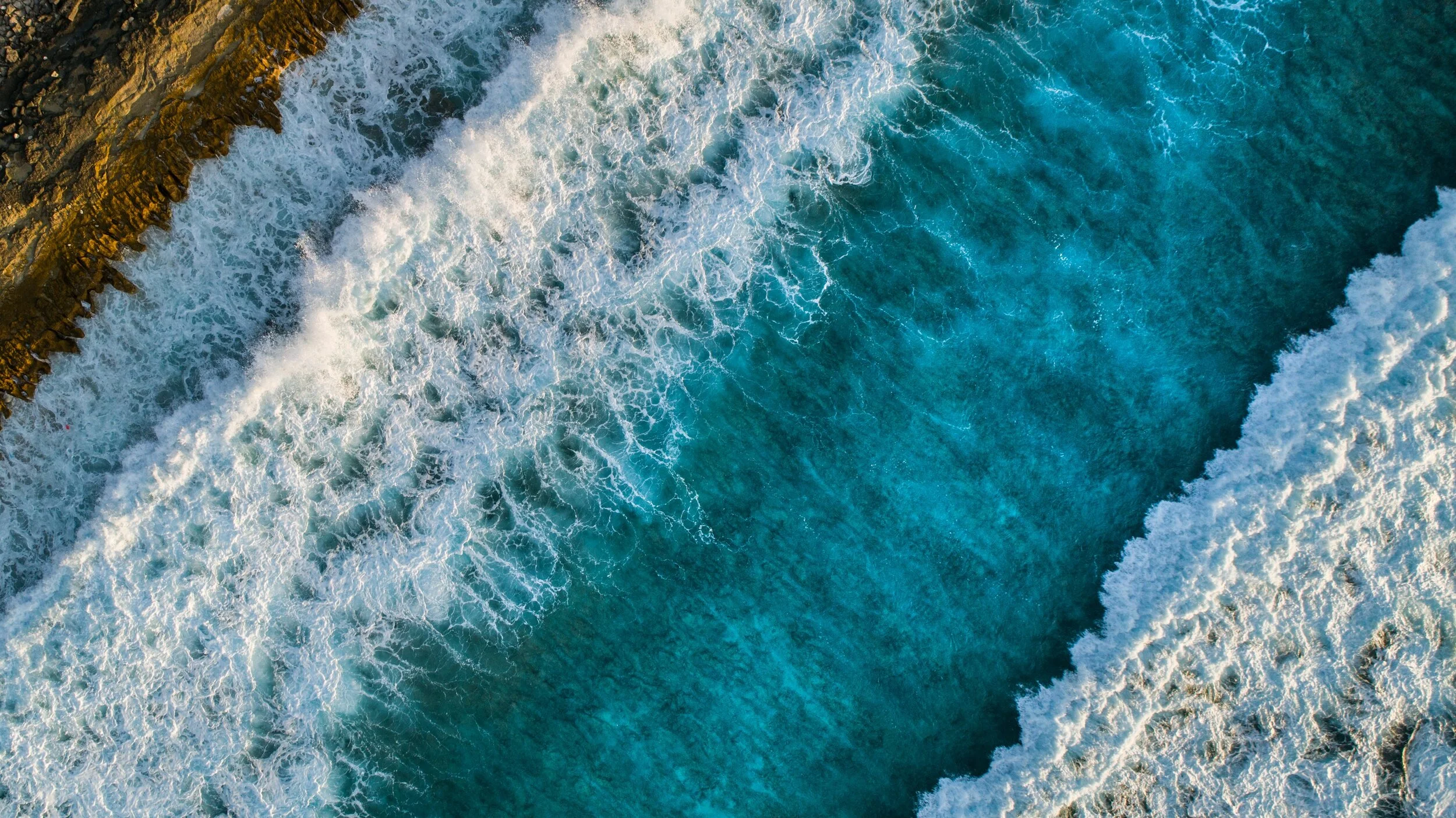 Purpose Part 1: Awareness