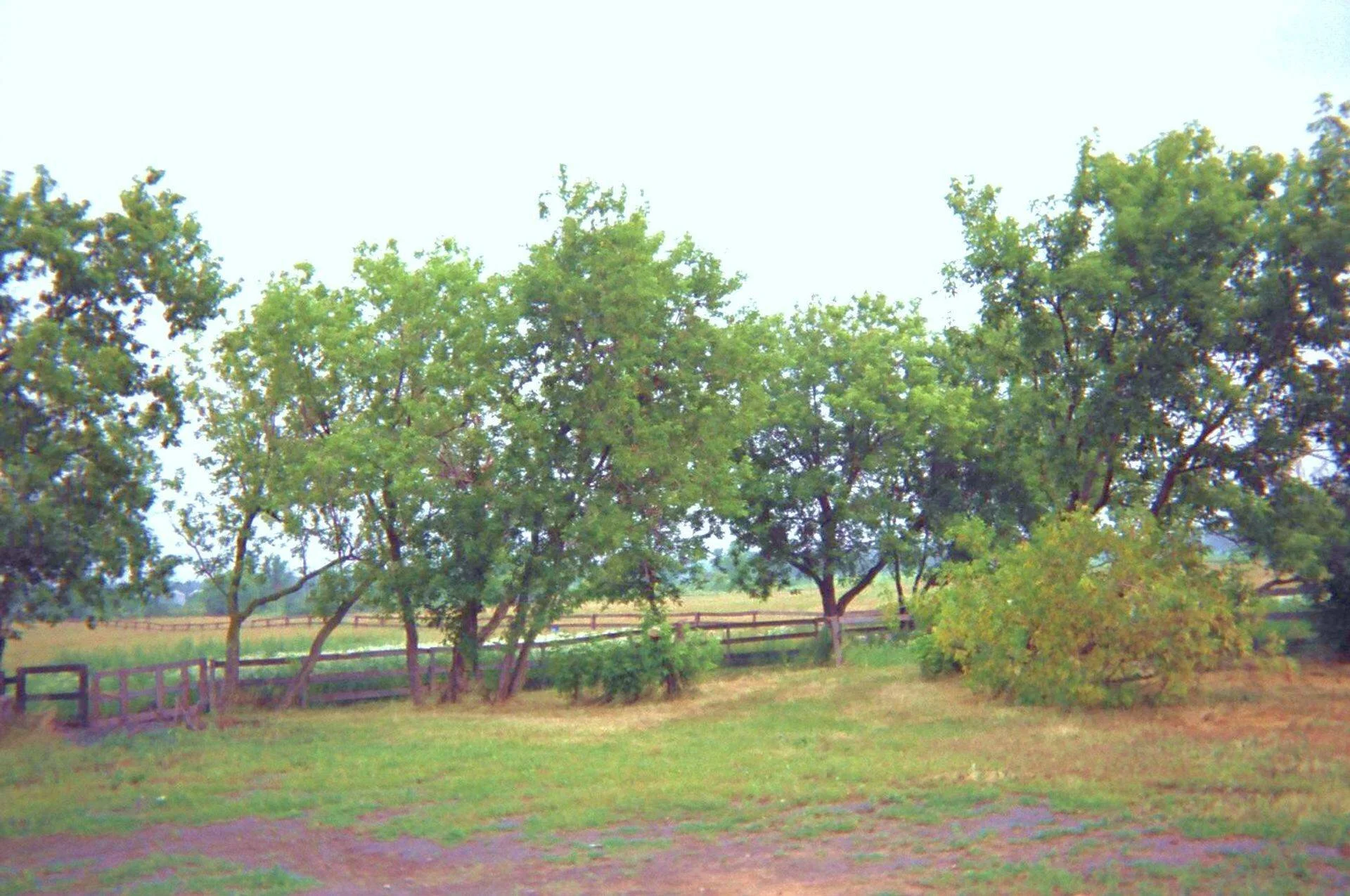 00520018-2.JPG