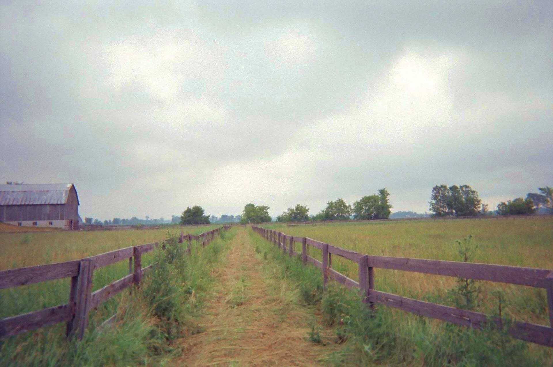 trail.jpg