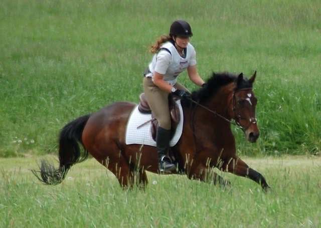 Why Horseback Riding Matters More Than Ever in a Fast-Paced City