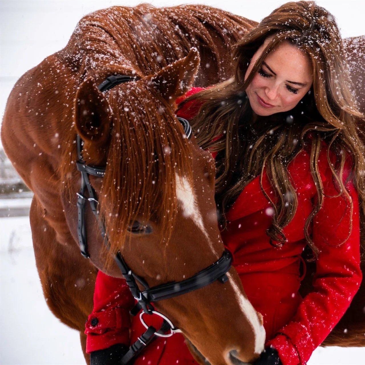 Rawreth Equestrian Centre