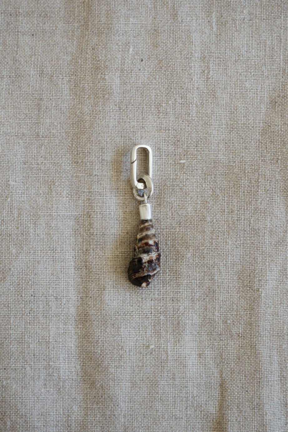 Shell trinket on silver carabiner