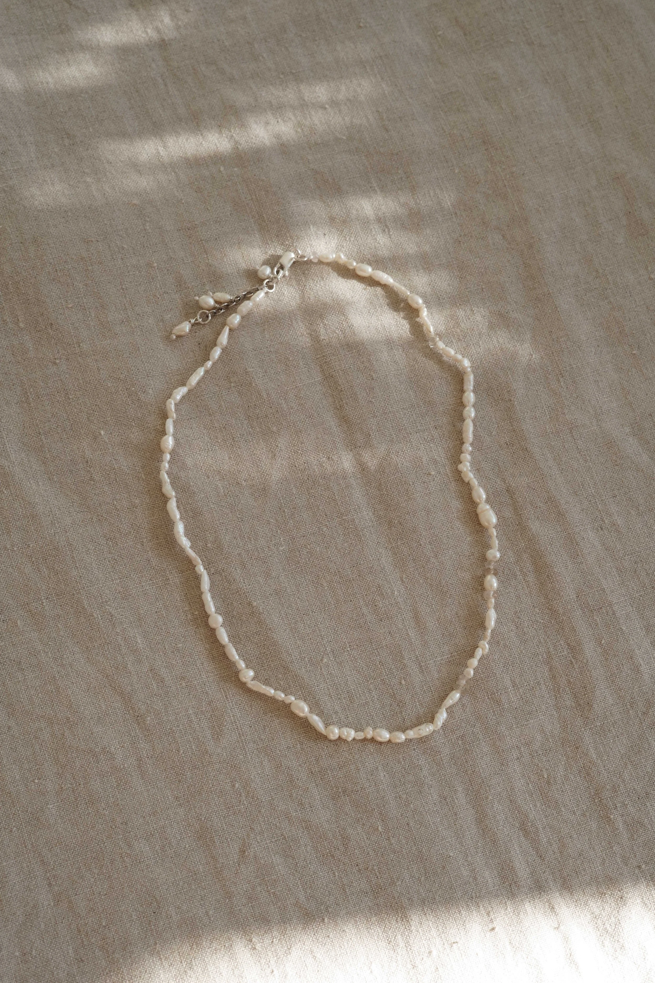 N00009.JPG