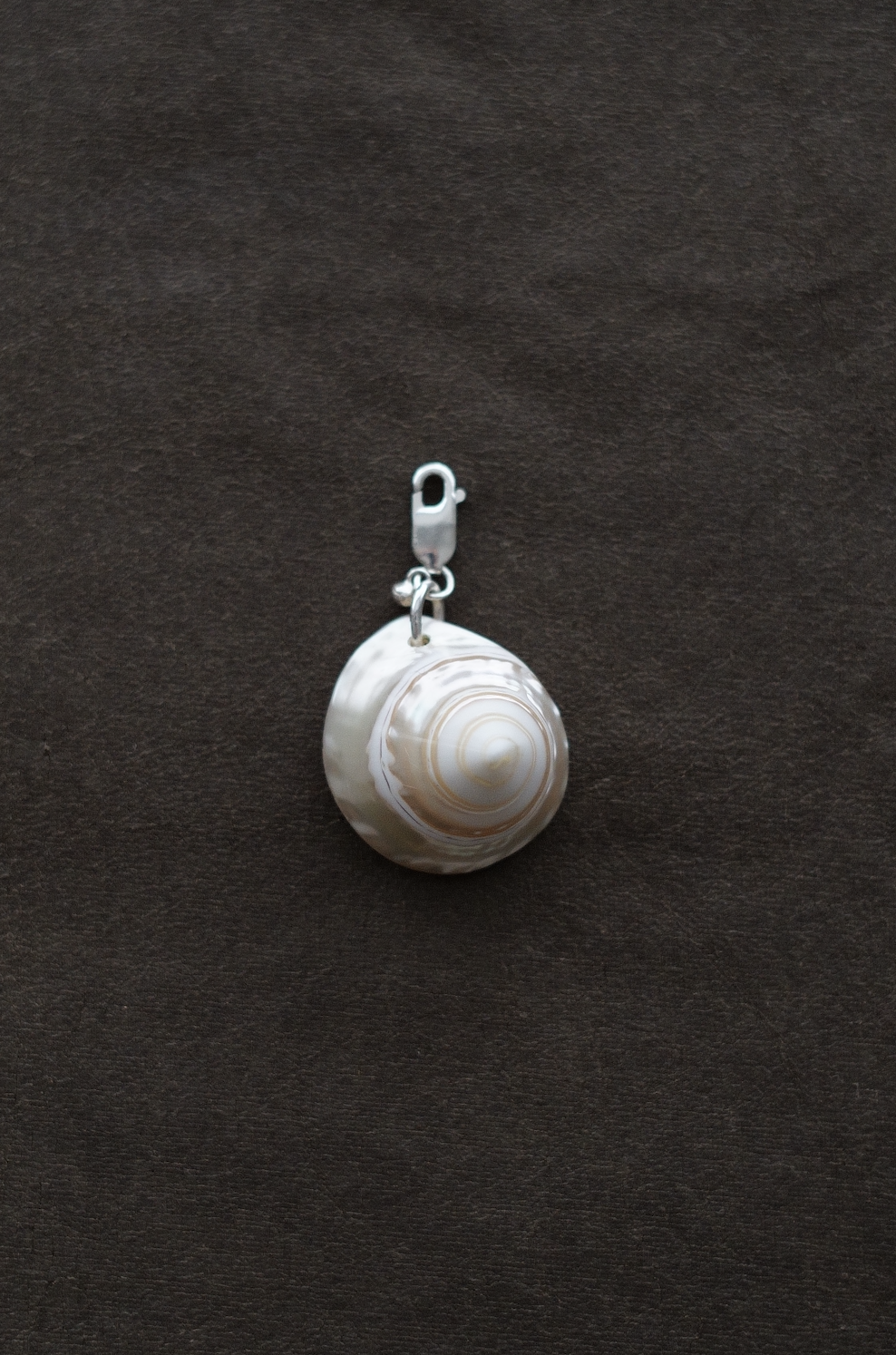 Screenshot 2026-03-10 at 14.22.26.png