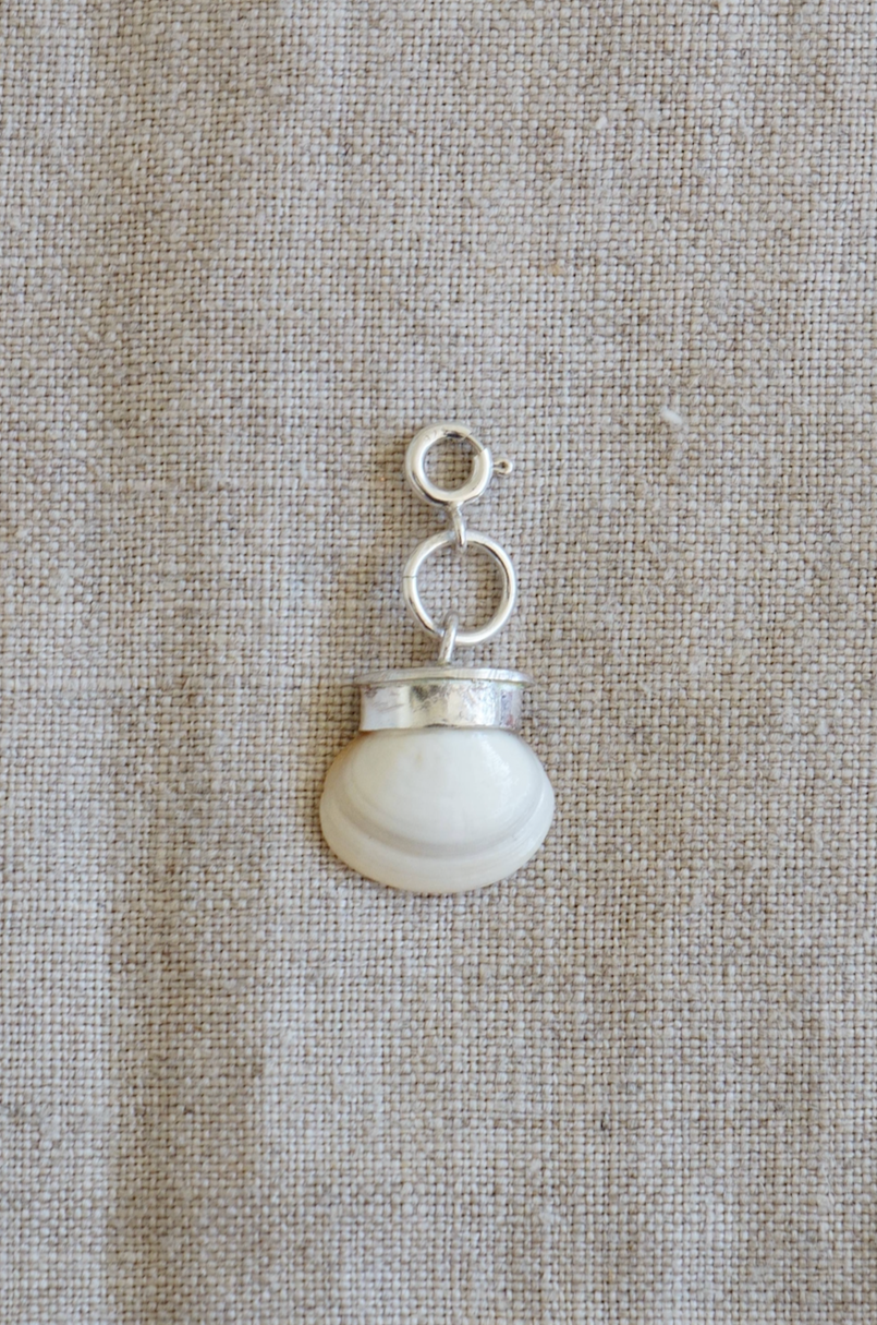 Shell trinket with silver clasp