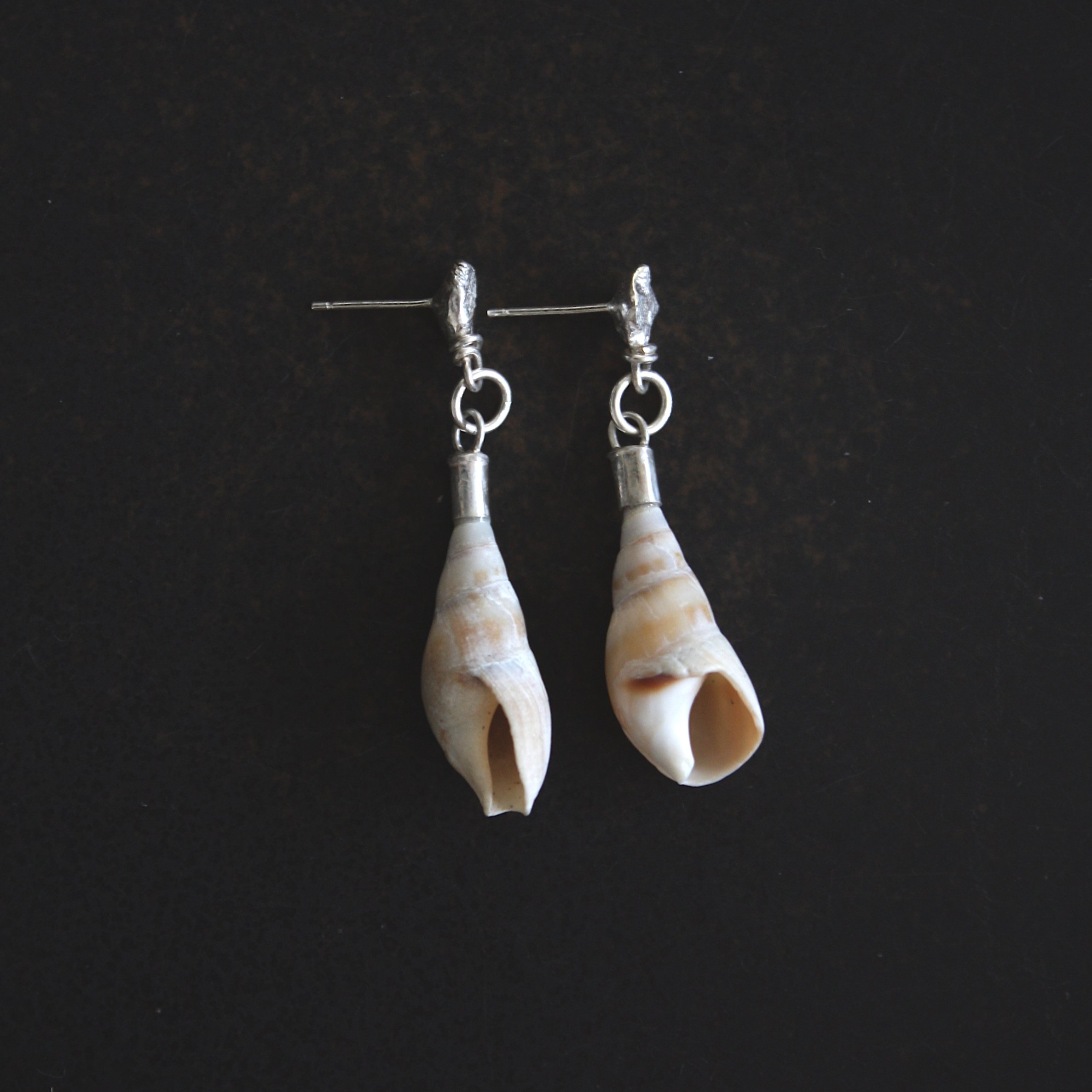 Big shell studs