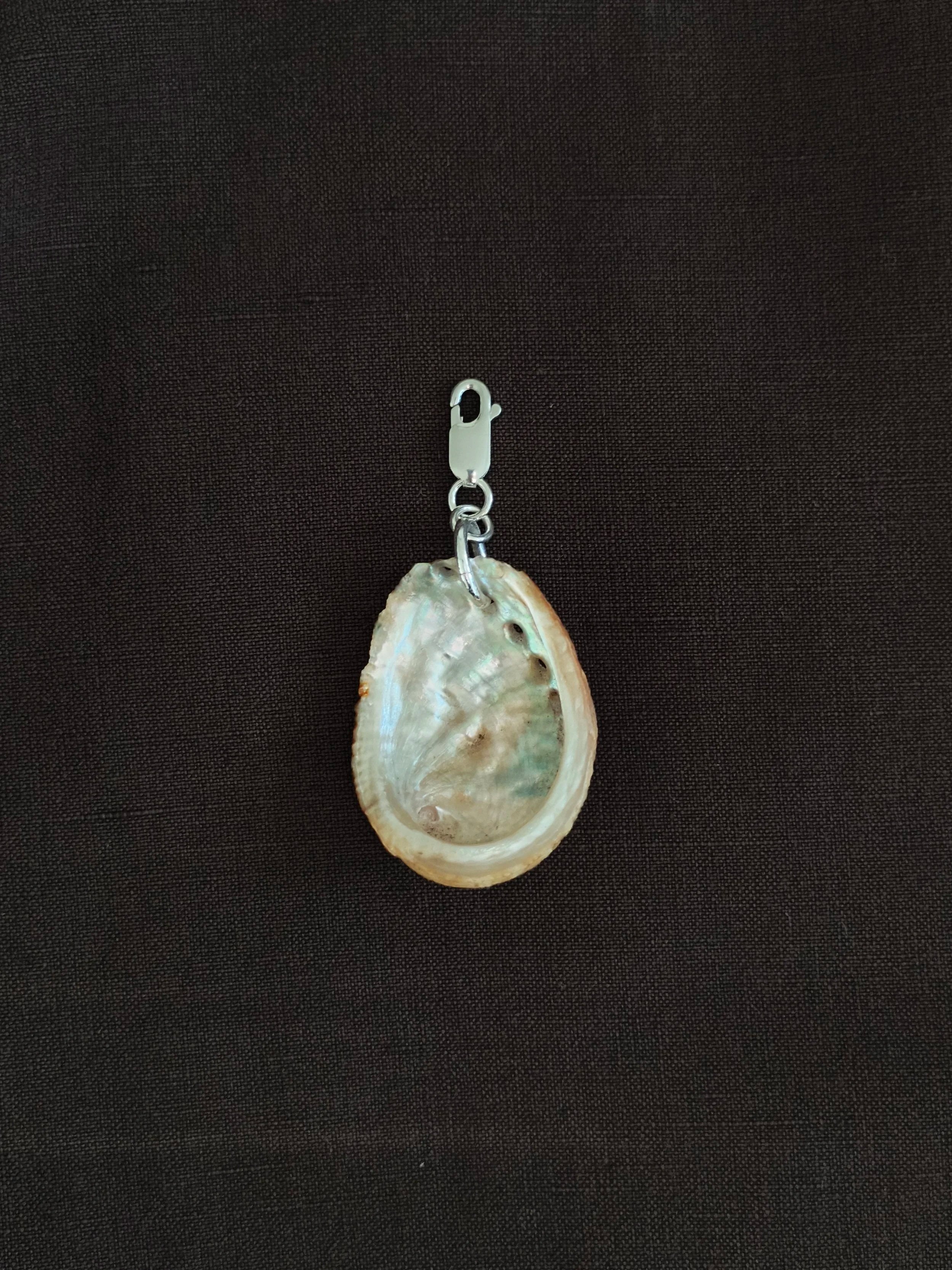ABALONE TRINKETS : choose your shell