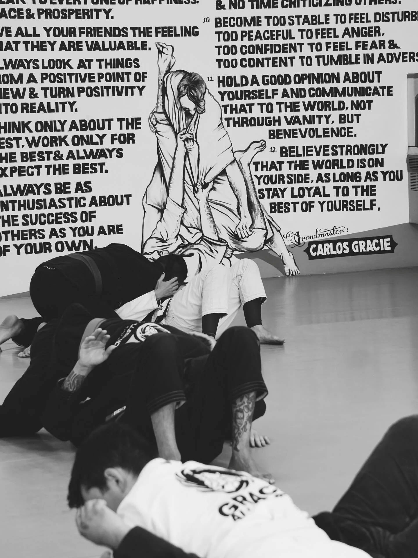 Jiu Jitsu. 
Every sweep, every labored breath, every time you escape a submission, you are writing a story of resilience that no one can ever take from you. The mat is a mirror that reflects not who you are, but who you are becoming&mdash;stronger, m