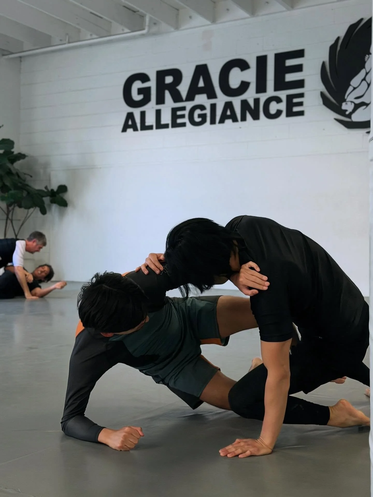 Dropping some NO GI clicks to inspire you all! See you tonight at
📍Gracie Allegiance Jiu Jitsu Academy