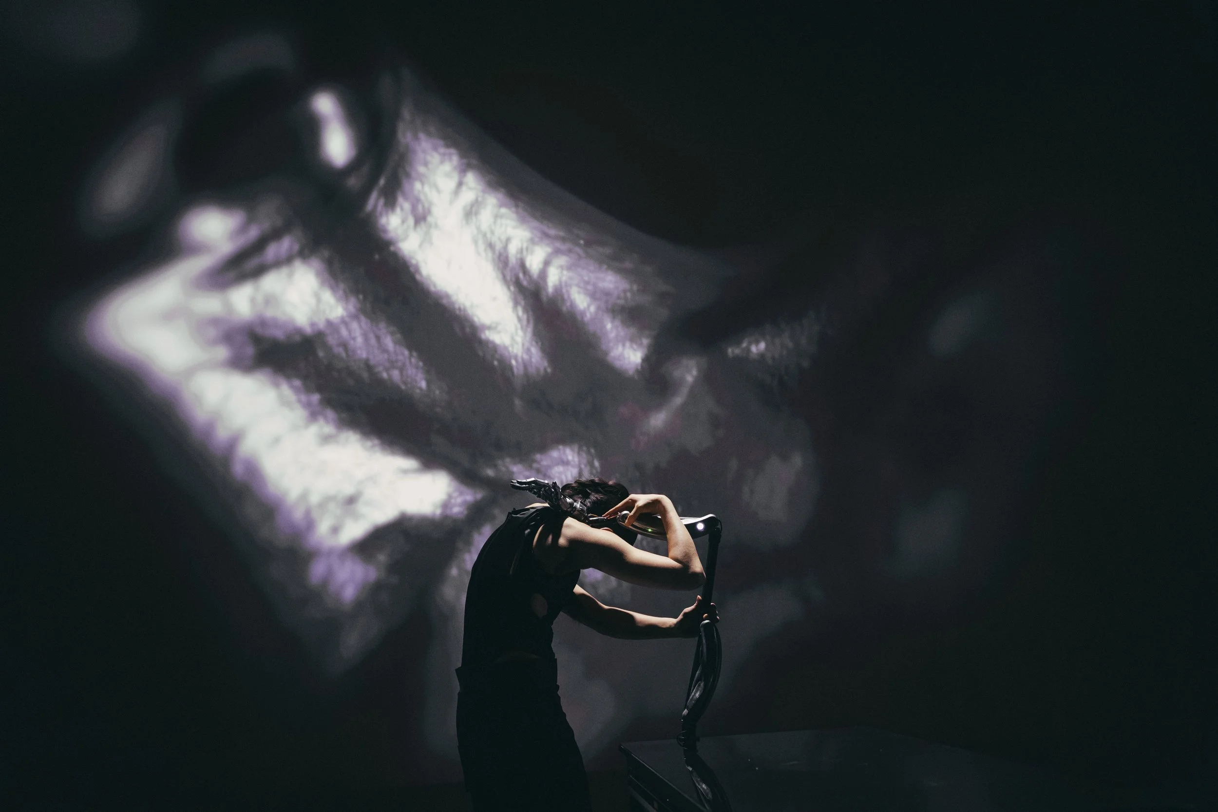 Vestige