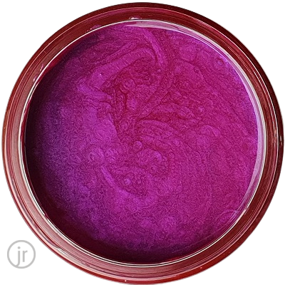 Fuchsia.png