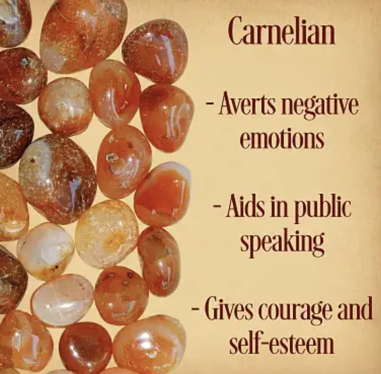 BD6A19C4-5F1C-4560-A88E-E7DC55A75280