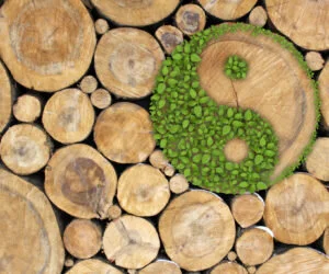 Dr Ly Natural Health Acupuncture Clinic