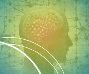 Dr Ly Natural Health Acupuncture Clinic