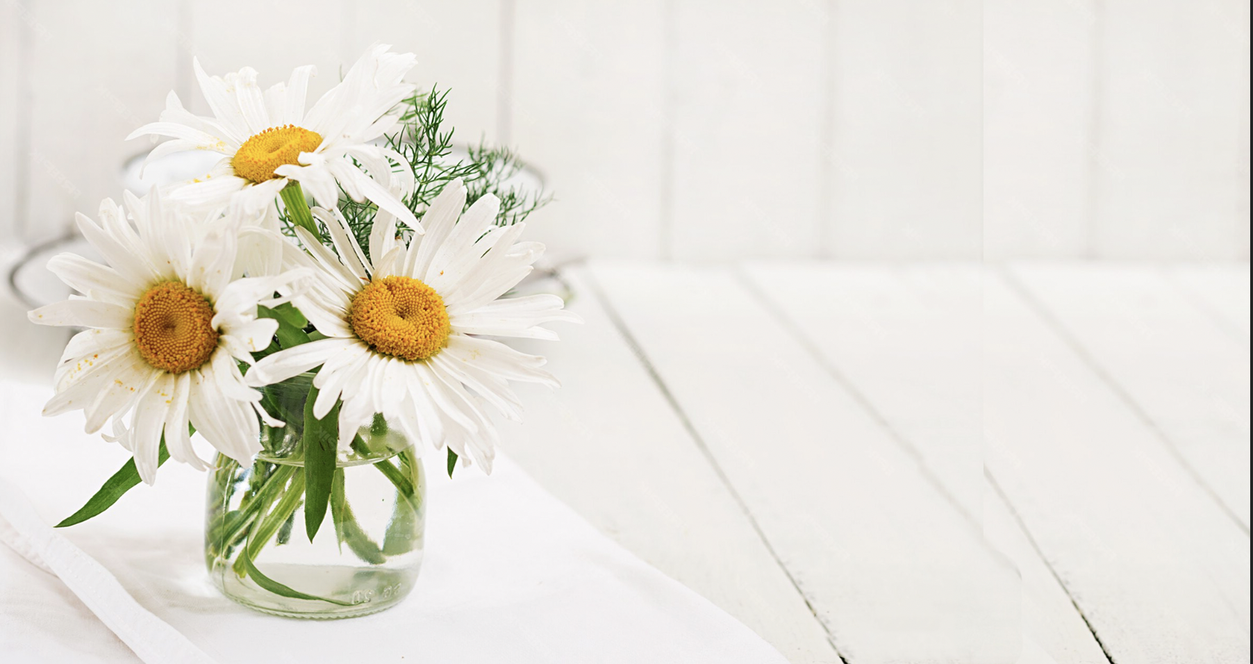 Screenshot 2026-02-21 at 5.37.05 PM.png