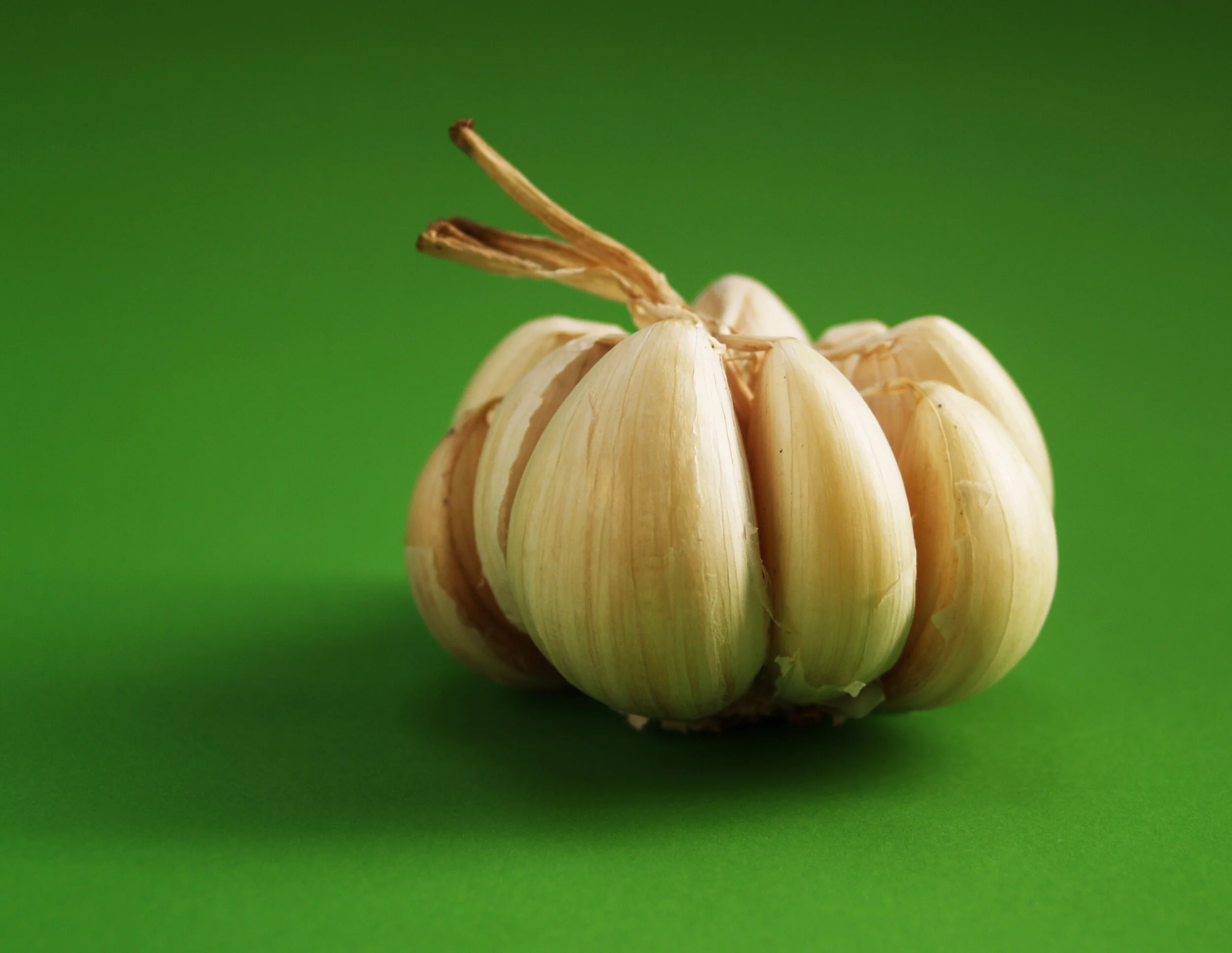 Canva - Garlic Clove.jpg