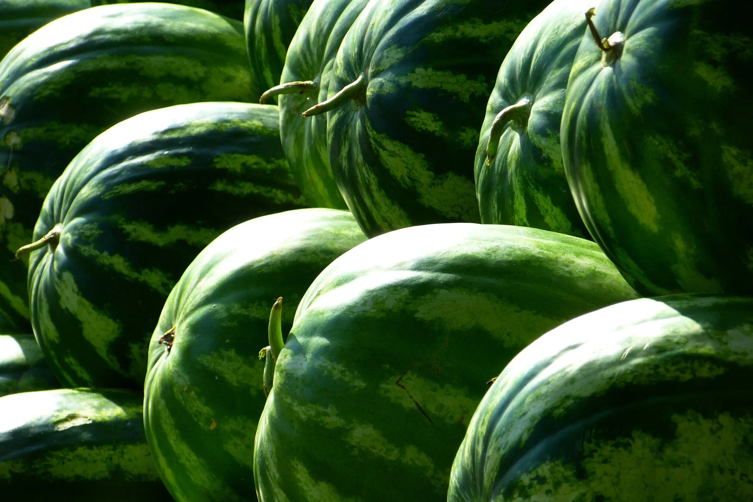Canva+-+Piled+Watermelons+Outdoors.jpg