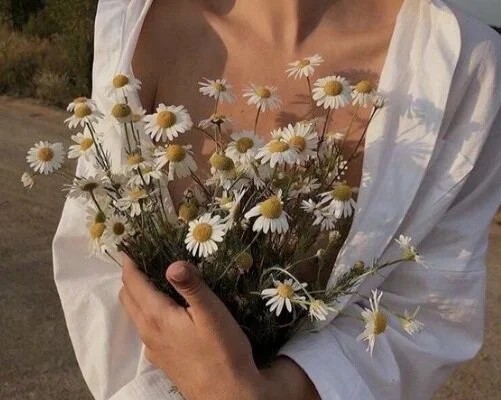 you look like a daisy