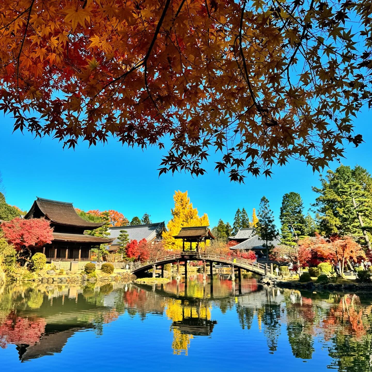 MEMORIES OF JAPAN - A few favourites from an amazing trip to Japan this time last year.