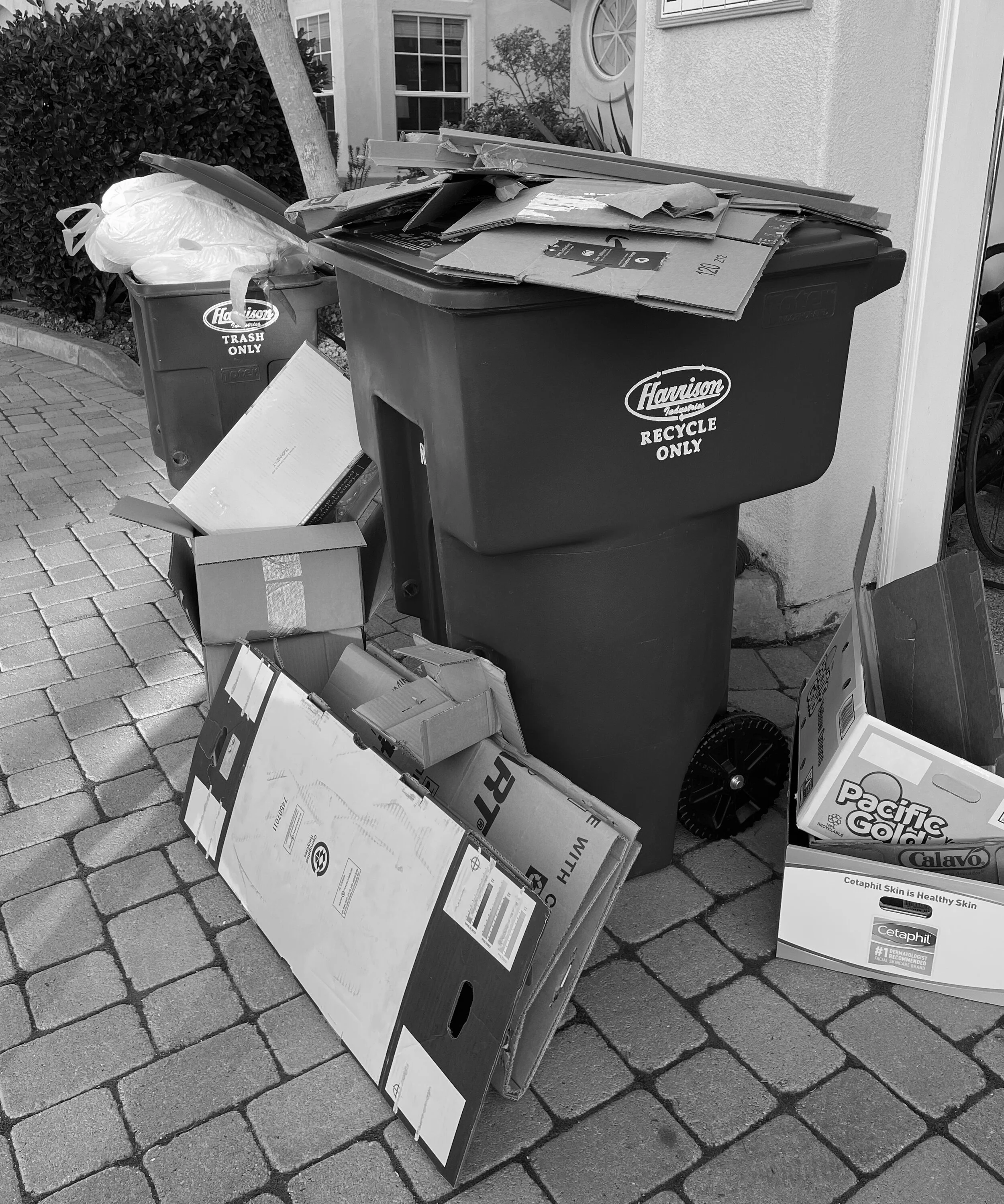 Literal and Energetic Garbage