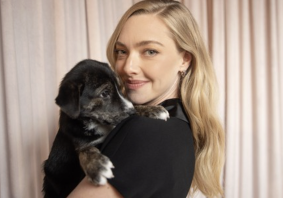 Screenshot 2026-01-14 at 20.54.12.png