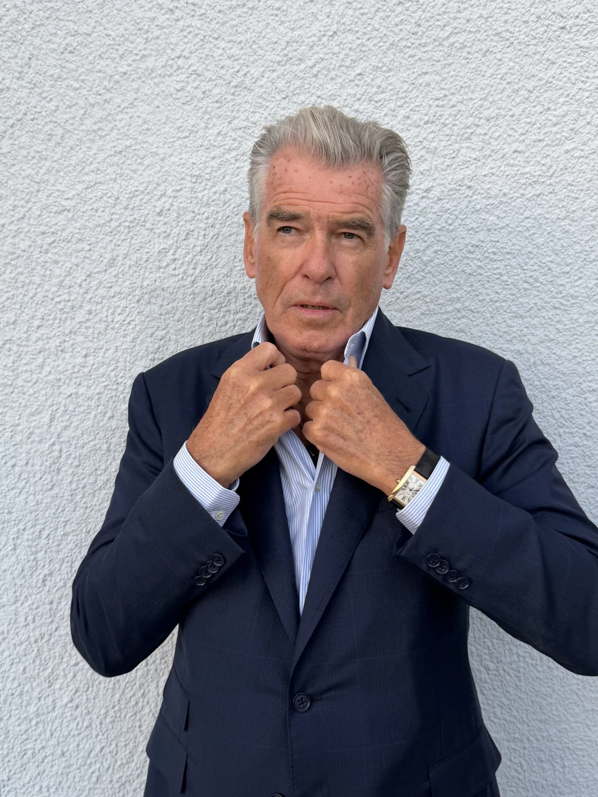 Pierce Brosnan bw62.jpeg