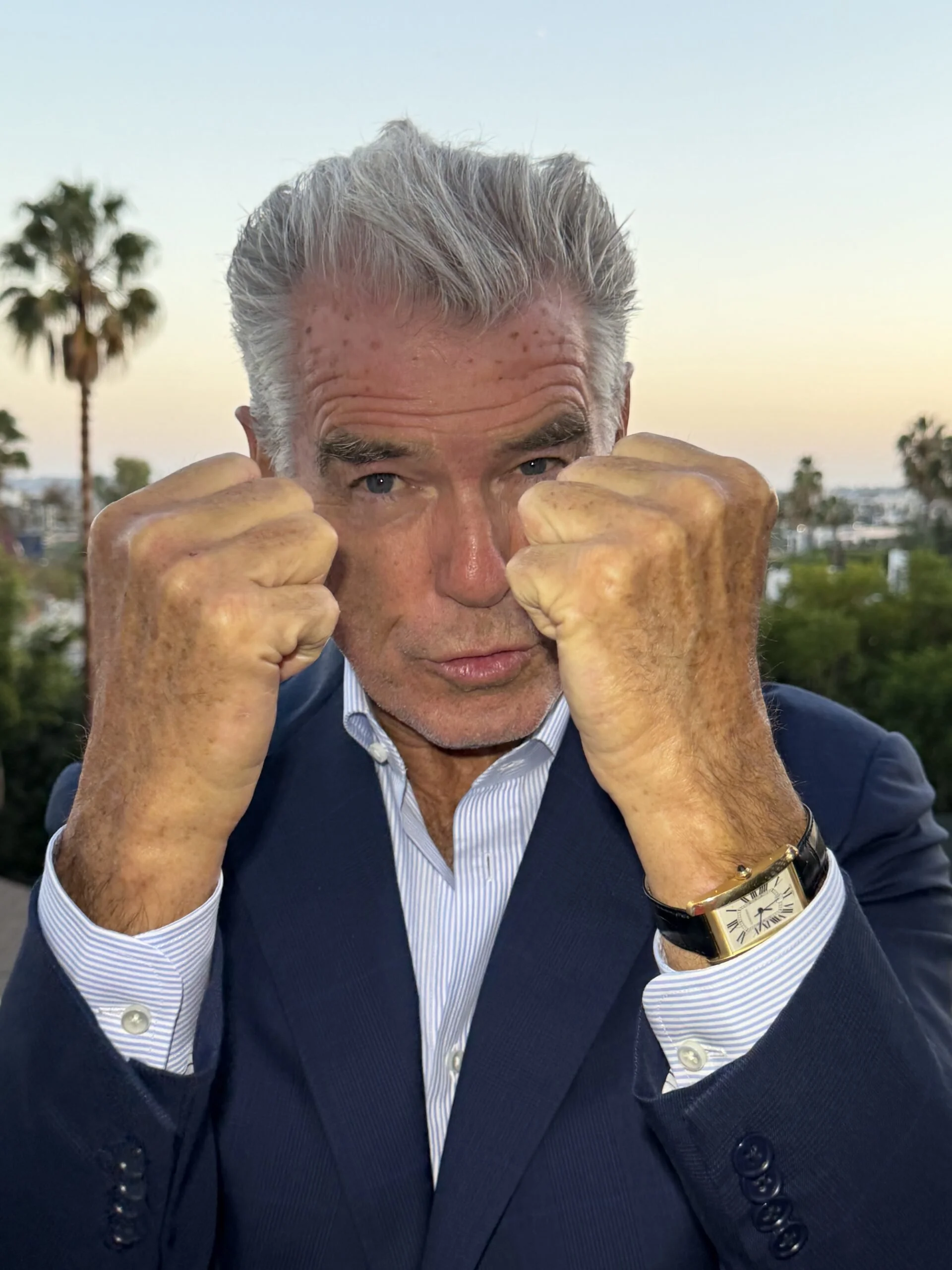 Pierce Brosnan bw69.jpeg