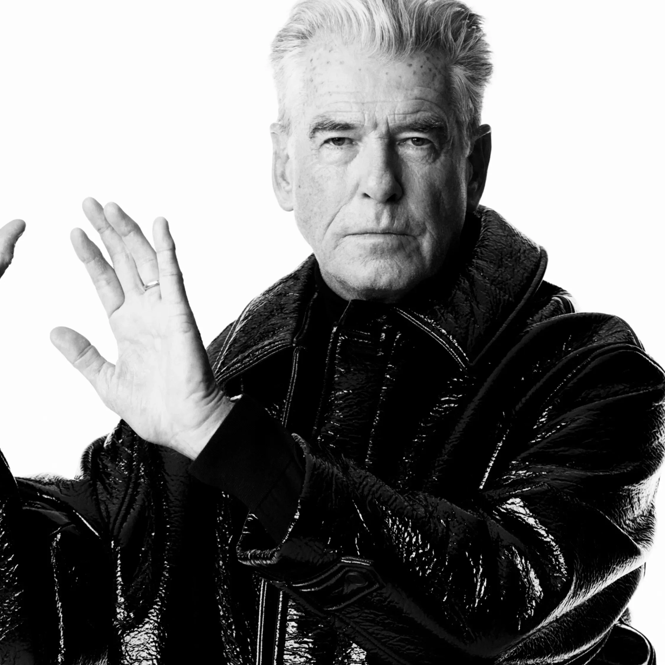 Pierce Brosnan bw3.webp