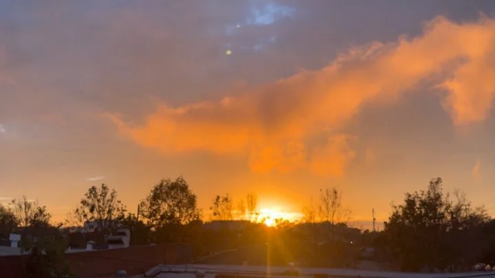 🐝 Readying to welcome a small group of folks into the first Living Between the Worlds coaching group for people who&rsquo;ve decided to keep living.

🌹 This group has never happened before, and, it&rsquo;s based on 14 years of study, lived experien