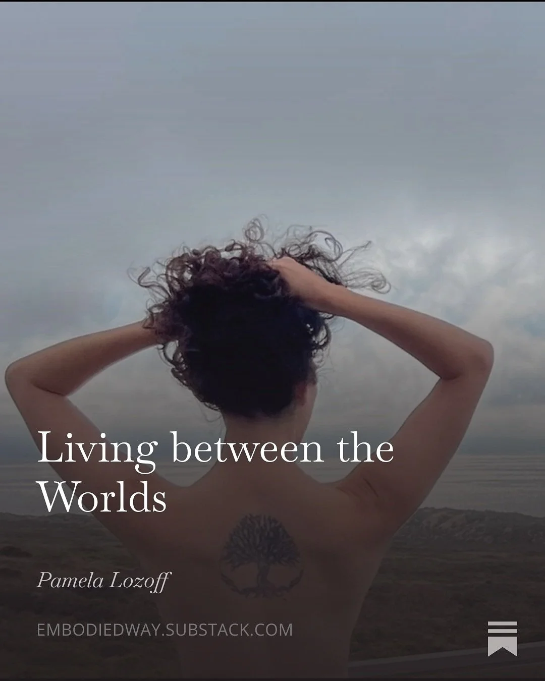 💭 Reflections upon closing out our first iteration of Living Between the Worlds 5-part group for people living with existential grief and/or suicidality. 

📖FULL POST here: https://open.substack.com/pub/embodiedway/p/living-between-the-worlds-885?r