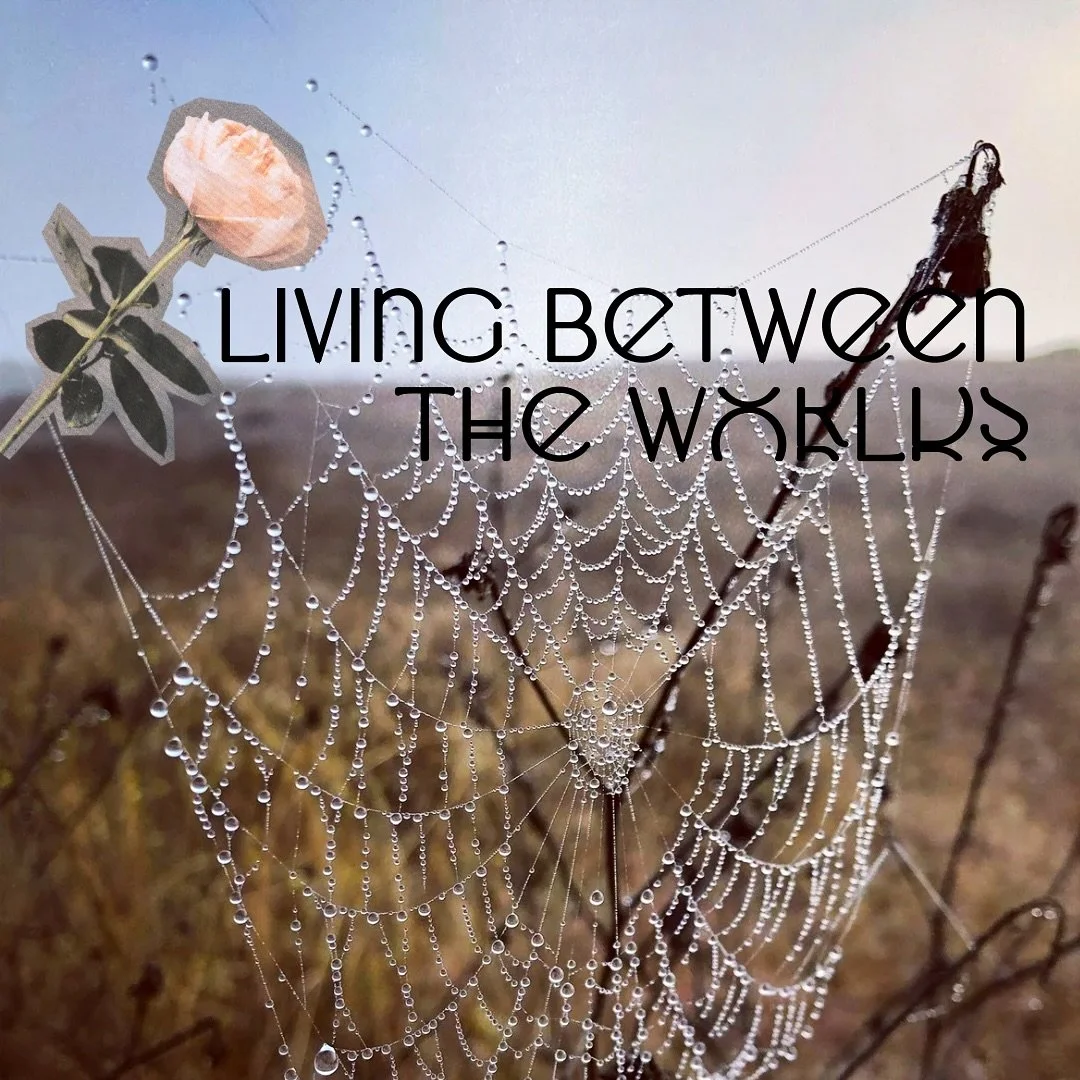 🥚 You&rsquo;re curled up in fetal position wondering how you&rsquo;re ever going to feel life moving through your body again. 

🌱 I see you. I get it. I&rsquo;m a fellow fetal position-er.

🐆Like a cheetah prowling through the dark, you have to tr