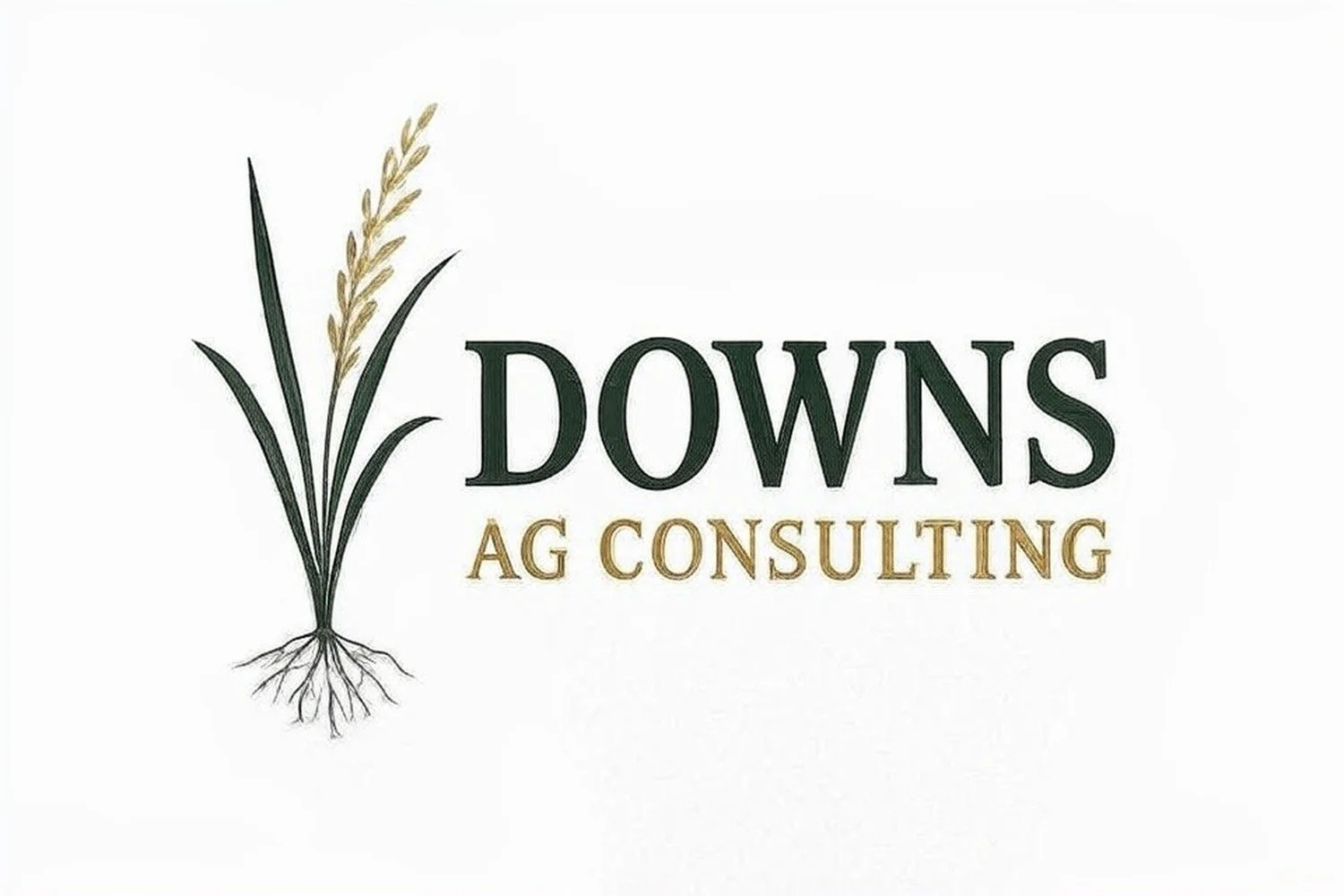 Downs Ag Consulting, LLC