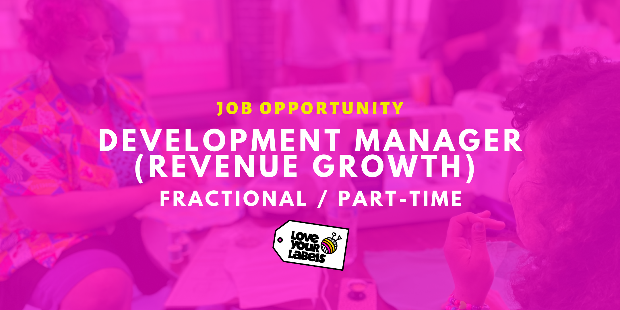 Fractional Development Manager  for Revenue Growth