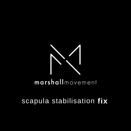 The official launch of Marshall Movement