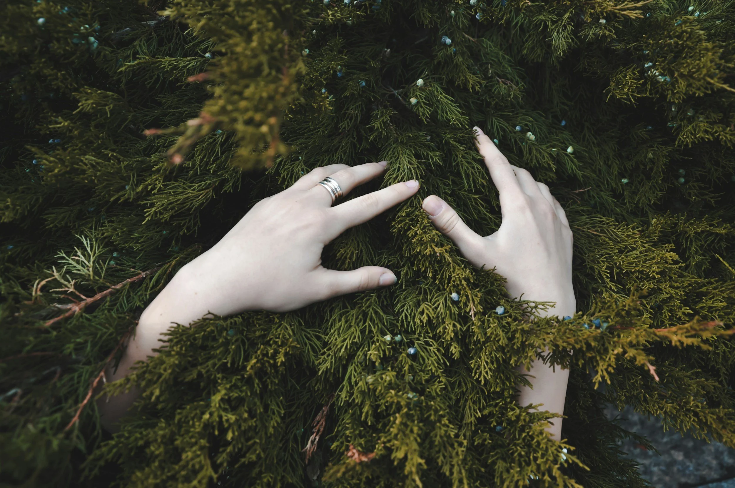 Braving the Storm: an integrative exploration of Ecological Grief