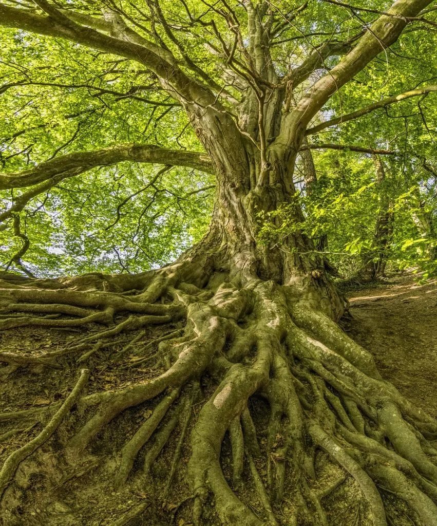 Psychotherapy, social context &amp; transpersonal perspectives: A Reflective practice group