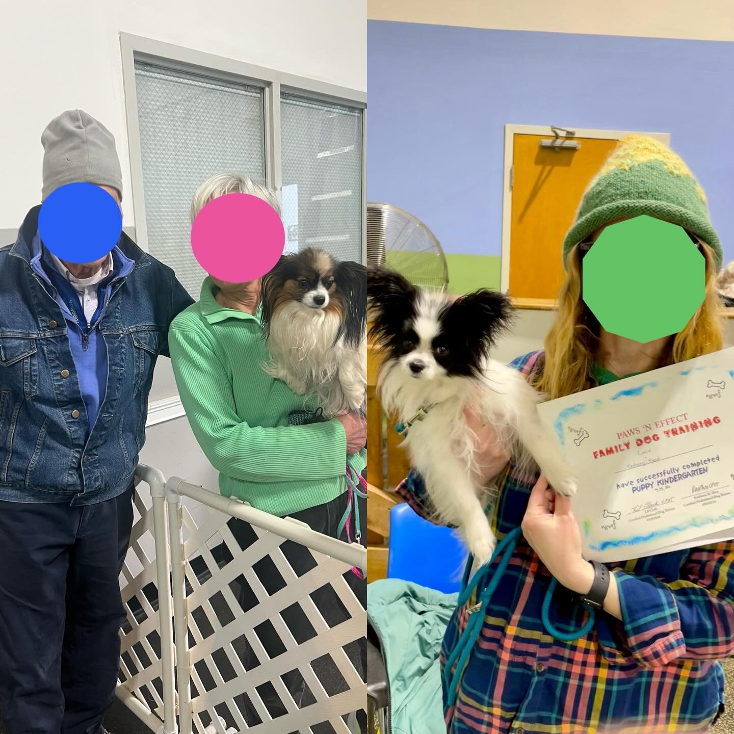 Busy day at Paws N Effect for some of my owners yesterday. Congratulations to Sue, Chris and Daisy on placing first in their first ever agility trial; I&rsquo;m so proud of you guys!!! And also to Bethany and King Louis for earning his puppy obedienc