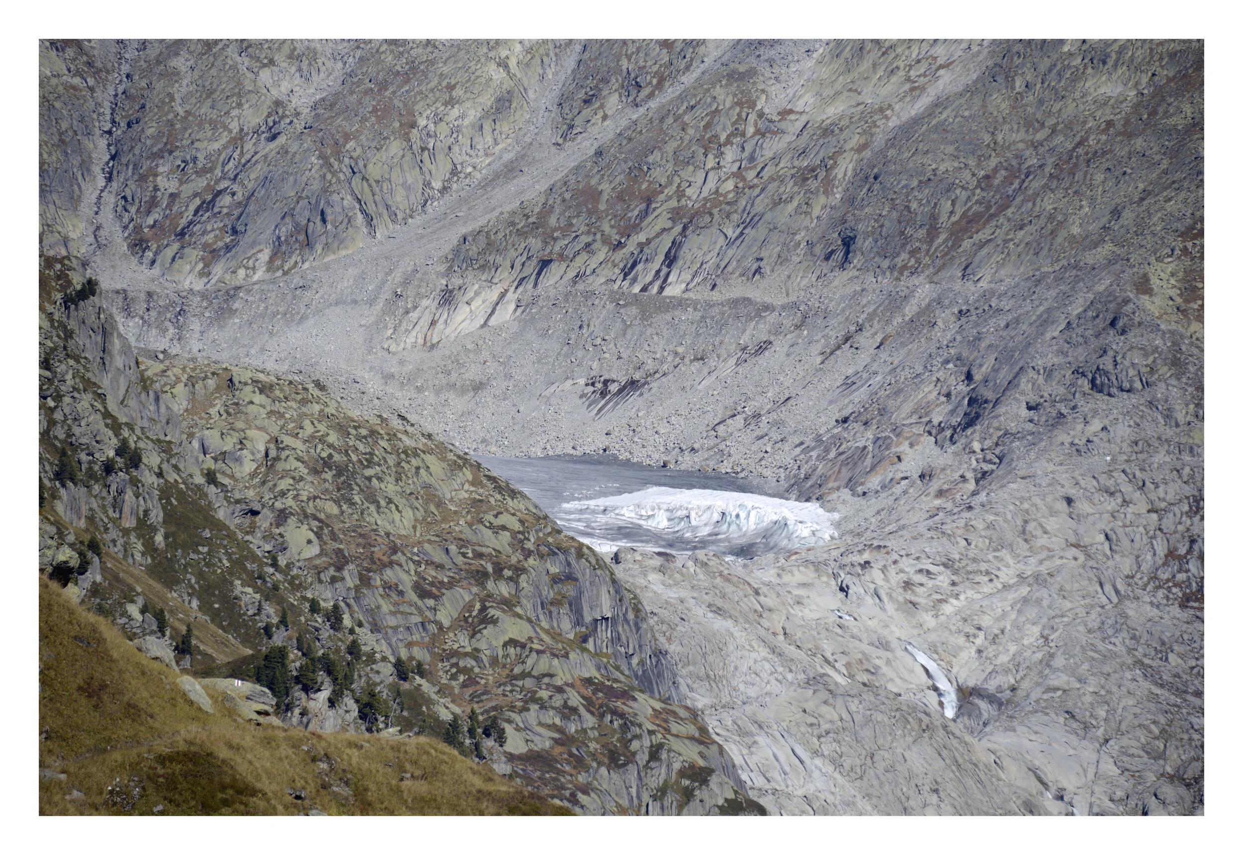MIMIKRY    THE GLACIER

Fine-Art Print on Hahnemühle Photorag
80x120 cm