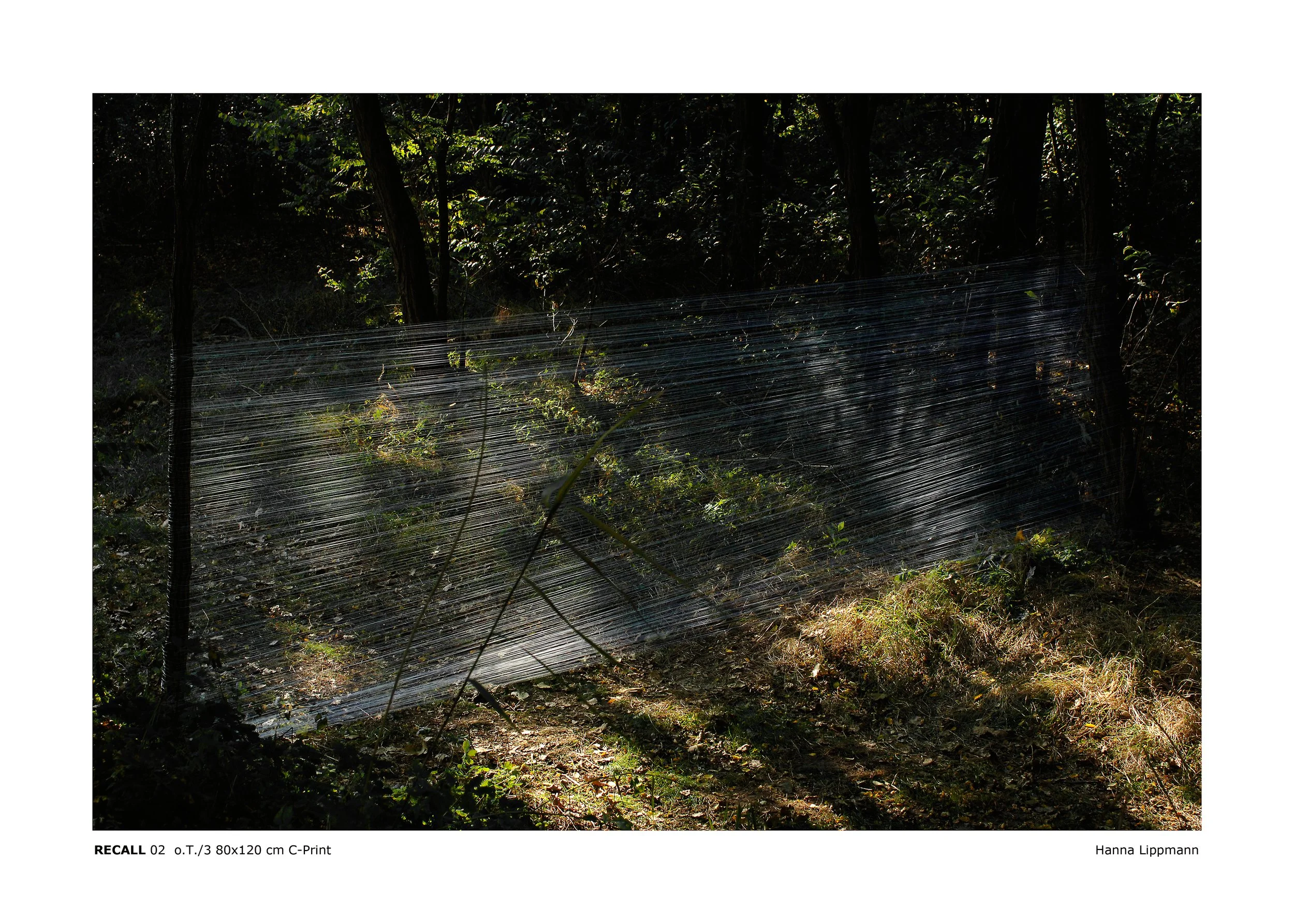 recall01/Prohibition